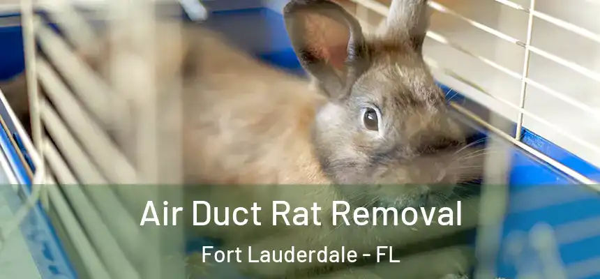 Air Duct Rat Removal Fort Lauderdale - FL