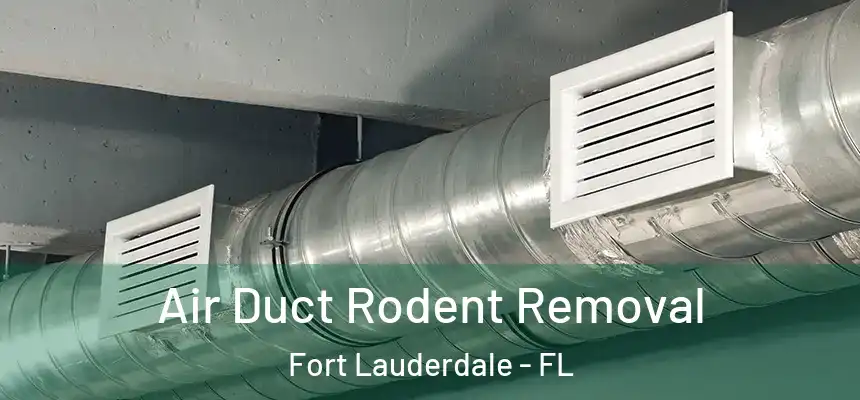  Air Duct Rodent Removal Fort Lauderdale - FL