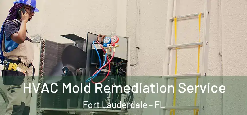  HVAC Mold Remediation Service Fort Lauderdale - FL