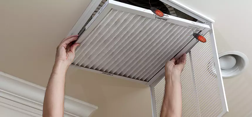Preventive Cockroach-Proofing for Ducts in Fort Lauderdale