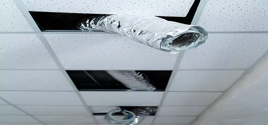 Our Air Duct Pet Hair Removal Services in Fort Lauderdale, FL