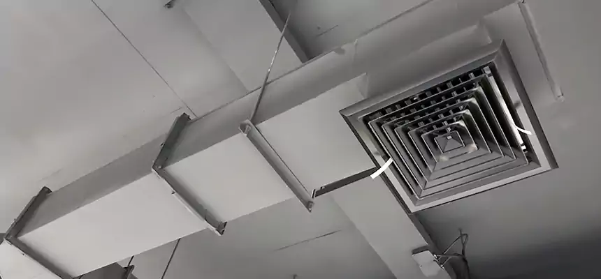 Our Rodent Droppings In Vents Services in Fort Lauderdale, FL