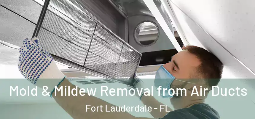  Mold & Mildew Removal from Air Ducts Fort Lauderdale - FL