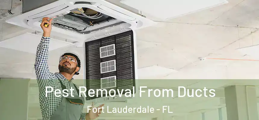  Pest Removal From Ducts Fort Lauderdale - FL