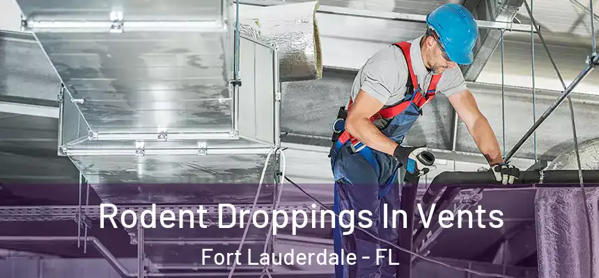  Rodent Droppings In Vents Fort Lauderdale - FL