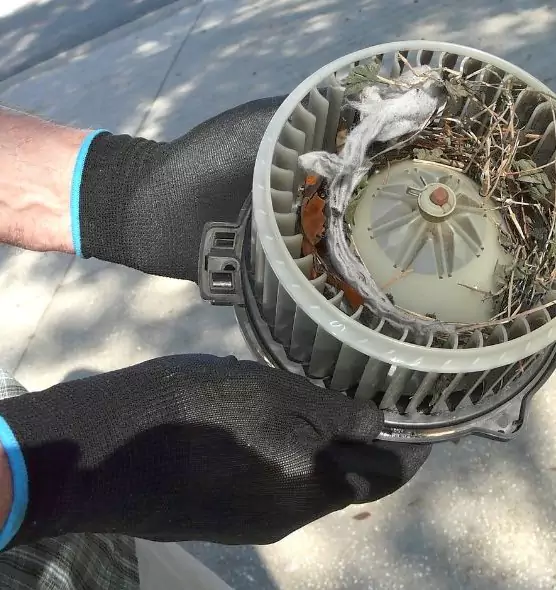 About Air Duct Rat Removal in Fort Lauderdale, FL