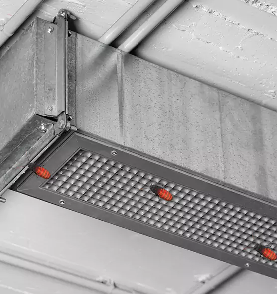 Affordable Insect Removal from Air Ducts in Fort Lauderdale, FL