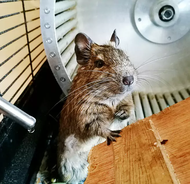 Why Homeowners & Businesses Trust Us Fort Lauderdale, FL