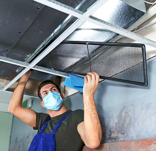 Why Homeowners Businesses Trust Us in Fort Lauderdale, FL