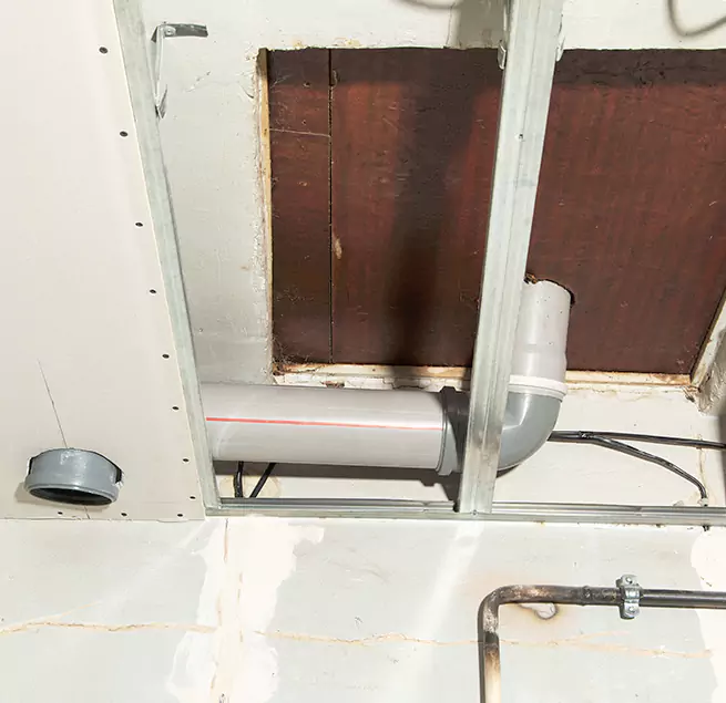 Why Homeowners & Businesses Trust Us in Fort Lauderdale, FL?