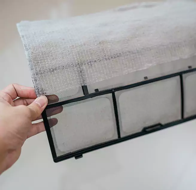 Why Homeowners & Businesses Trust Us in Fort Lauderdale, FL?