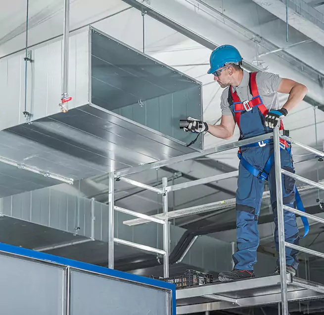 Why Homeowners Businesses Trust Us in Fort Lauderdale, FL