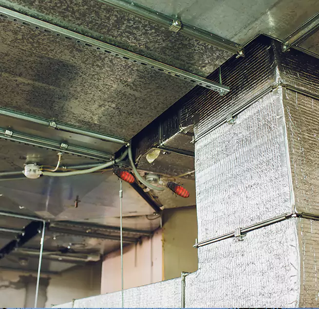 Why Homeowners & Businesses Trust Us Fort Lauderdale, FL?